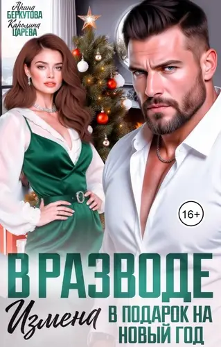 Книга В разводе. Измена в Подарок на Новый Год