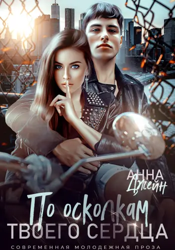 Книга По осколкам твоего сердца