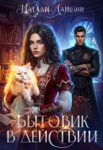 Бытовик в действии